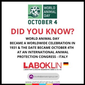 World Animal Day World Animal Day