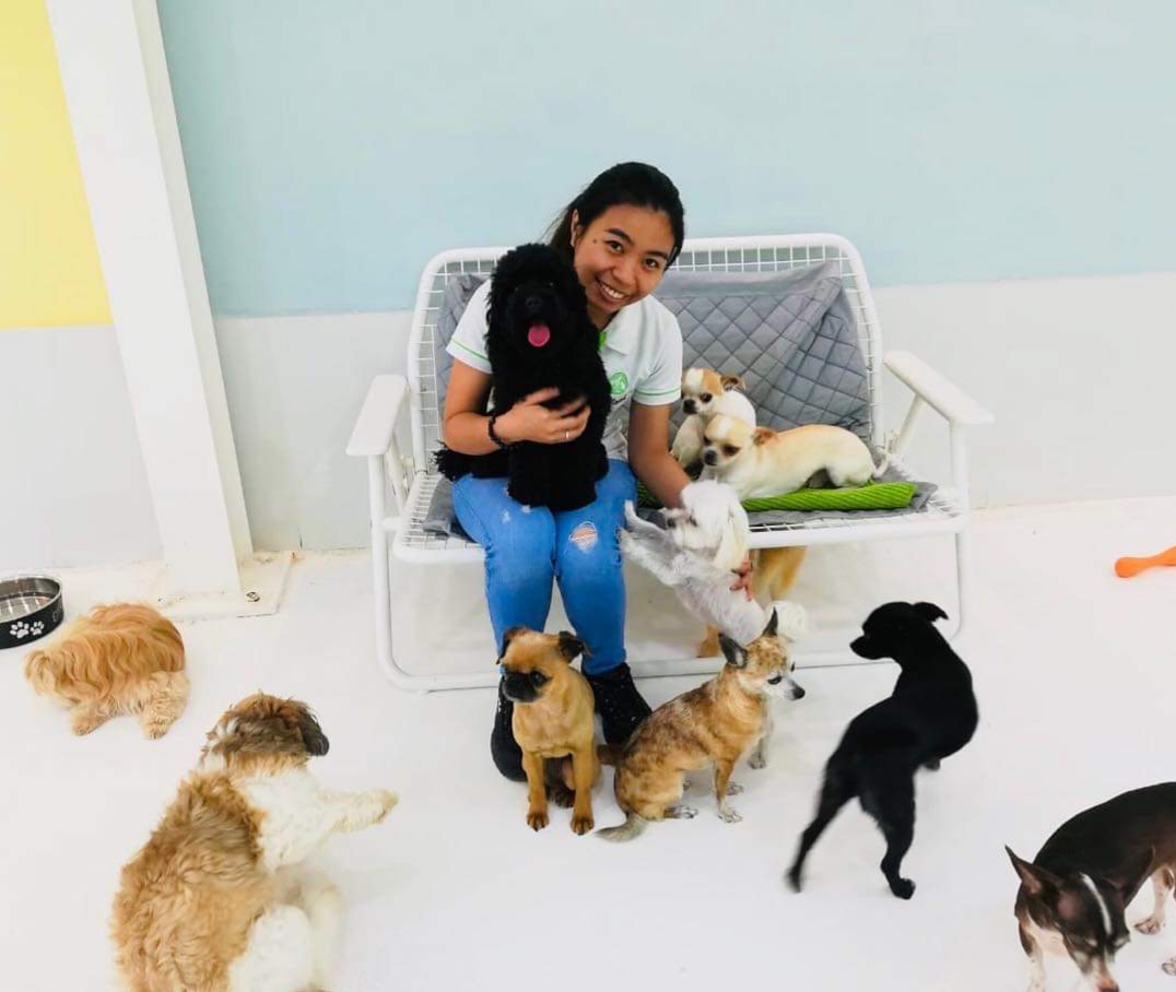 Dog Daycare in Dubai Pet Station Group