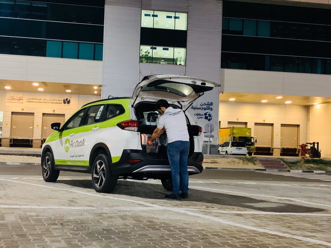Pet Relocation Dubai Pet Station Group